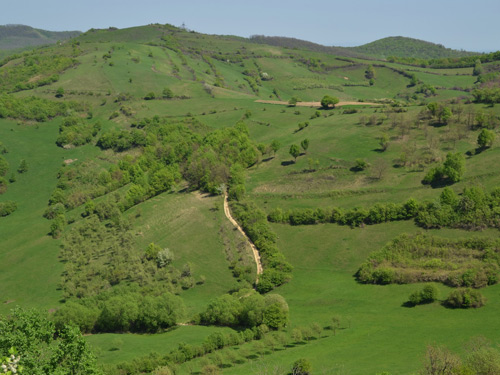 Foto La E-SE de Piscuiul Ronei (c) Lucian Petru Goja